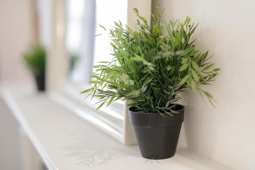 Central Wroclaw Apartment - City Center - Bright And Cozy - U11 外观 照片